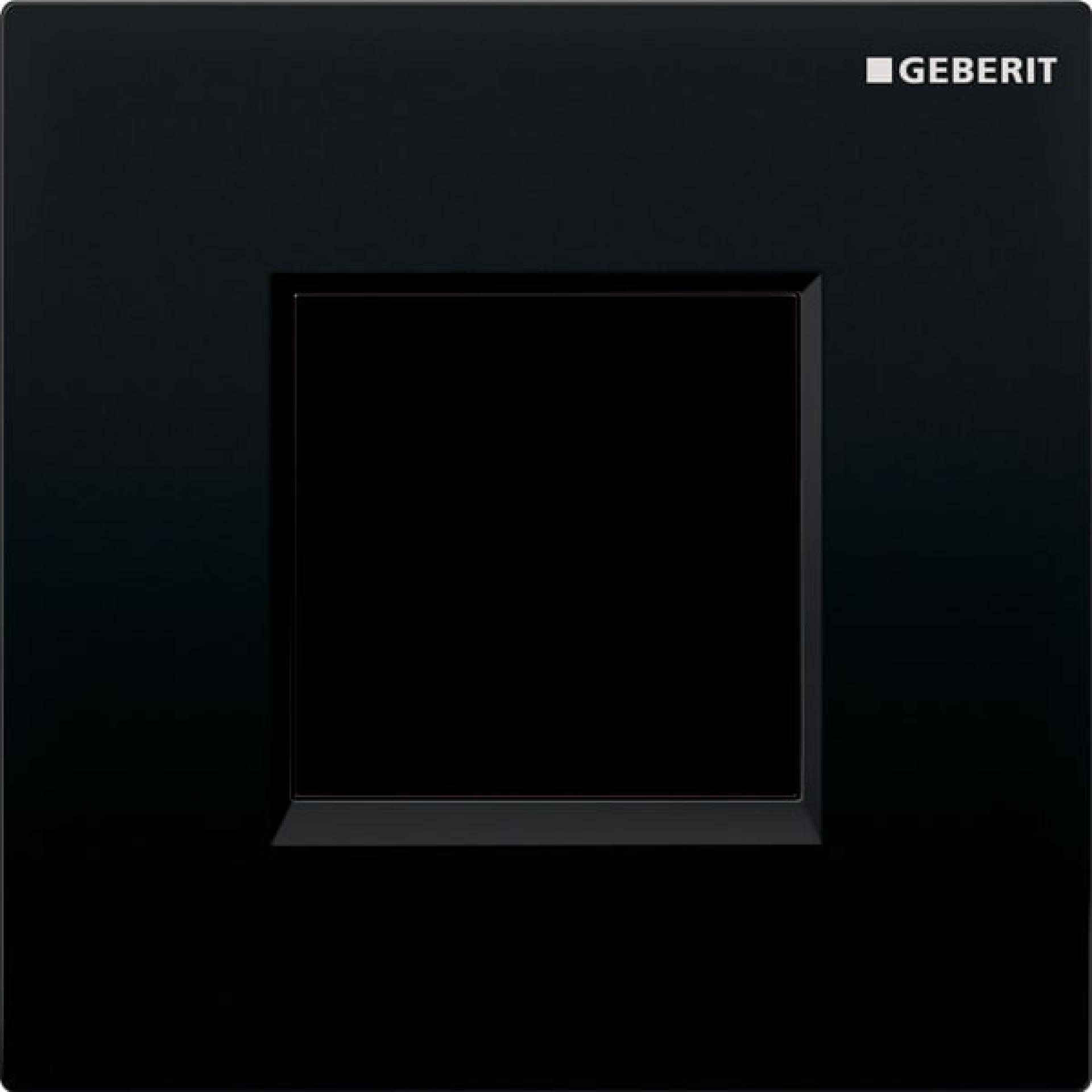 Кнопка смыва Geberit Type 30 116.027.KM.1, черный - фото Geberit (Геберит) Shop